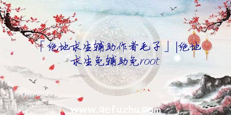 「绝地求生辅助作者毛子」|绝地求生免辅助免root